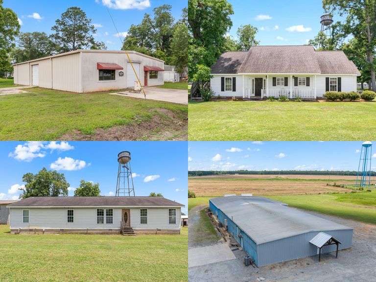 Montrose GA Real Estate Liquidation: 13 properties!