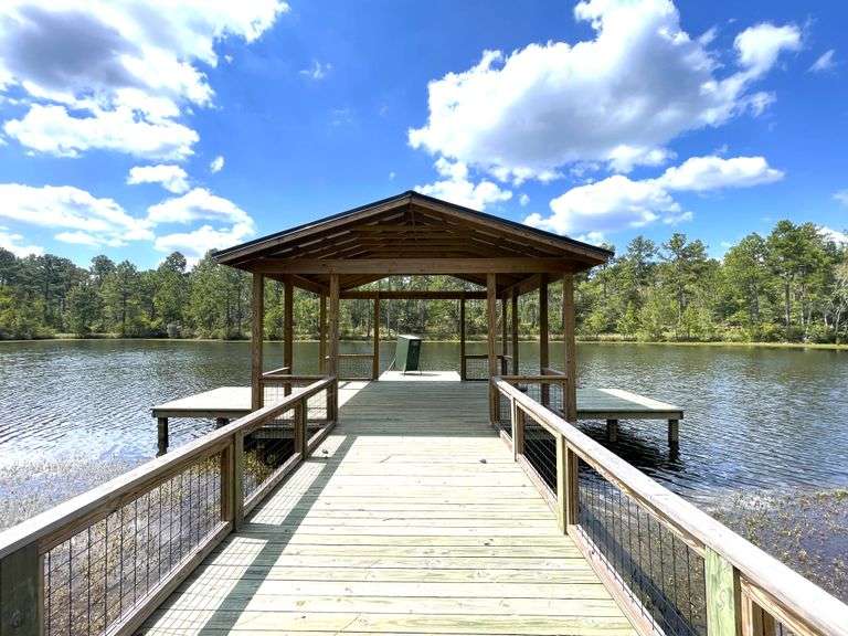 Old Magnolia: 211 acres offered divided, Emanuel County, GA