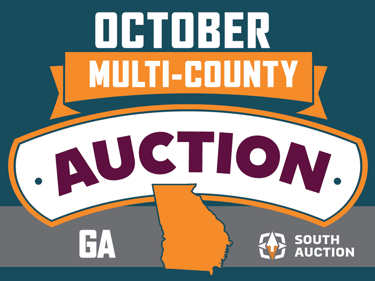Multi County Auction in GA