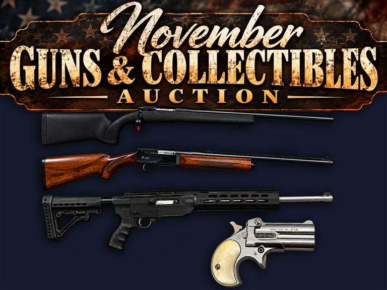 November Guns and Collectibles - Statesboro, GA