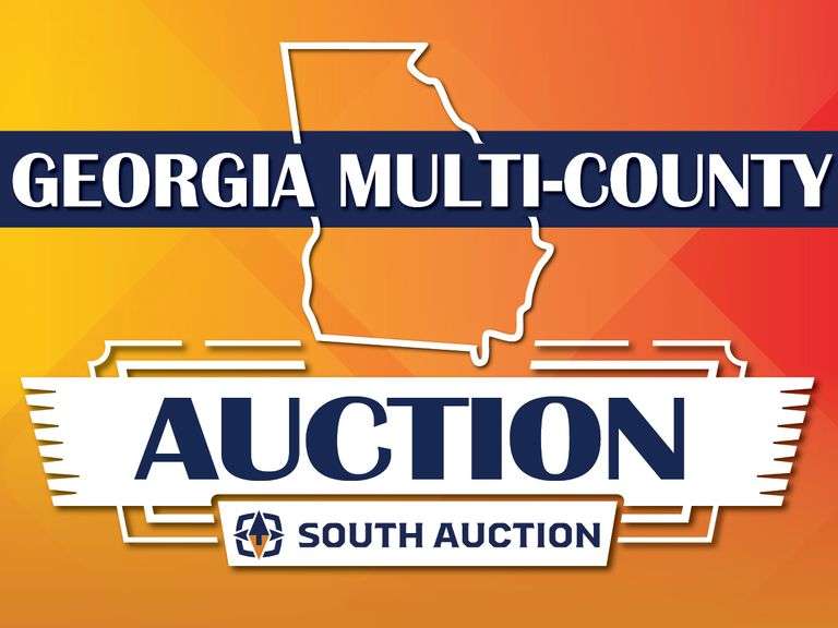 Multi County Auction in GA