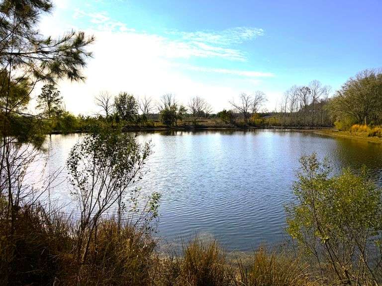 Union Road Farm, 100 acres: Metter, GA