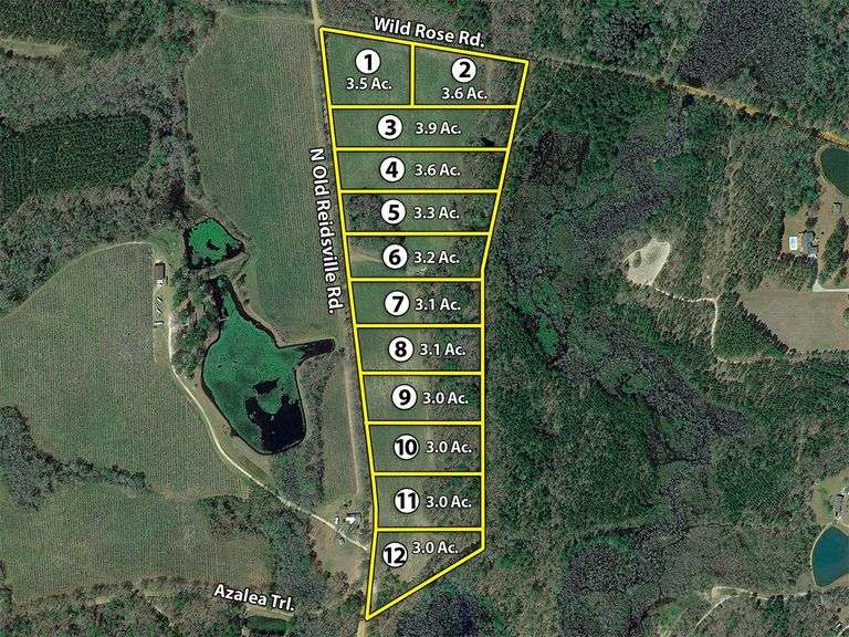 The Jerry Way Estate: 39 acres offered divided, Swainsboro, GA