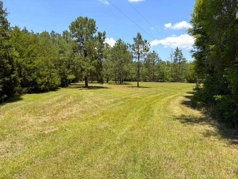 3.8 acres, Fortner Pond Road: Kite, GA