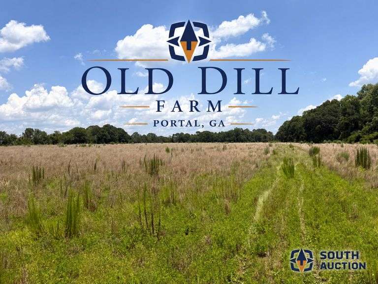 Old Dill Farm: 62 acres offered divided, Portal, GA