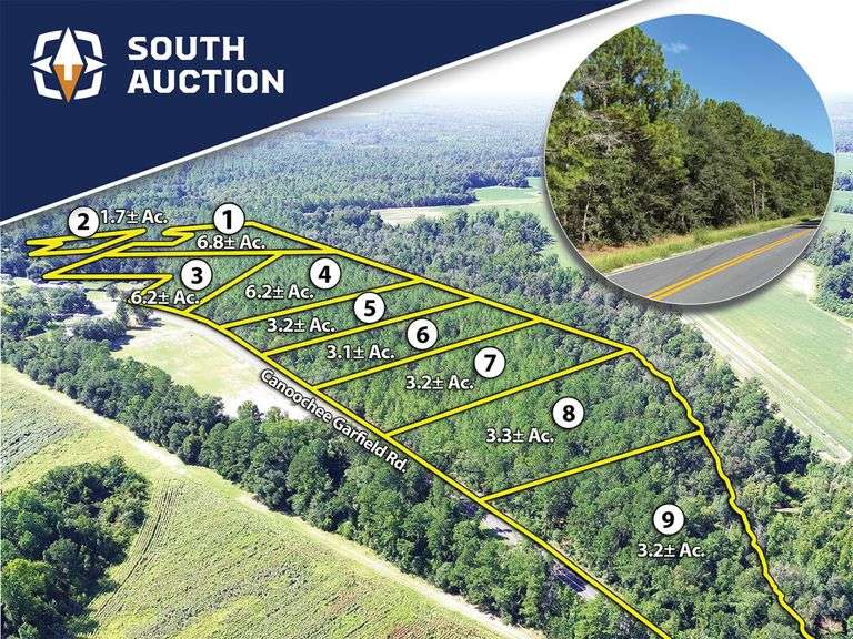 The Canoochee Tract: 36 acres offered divided, Emanuel County, GA