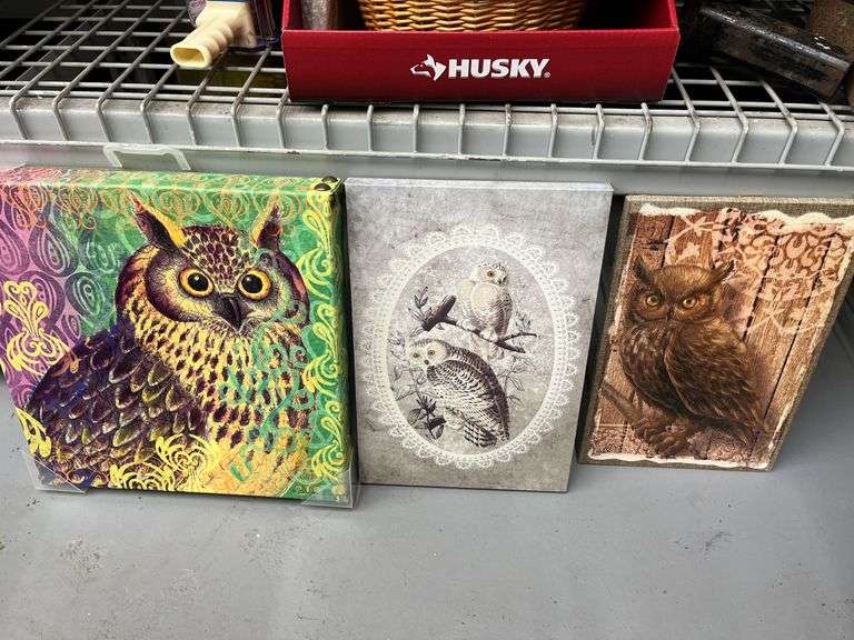 Owl pictures lot
