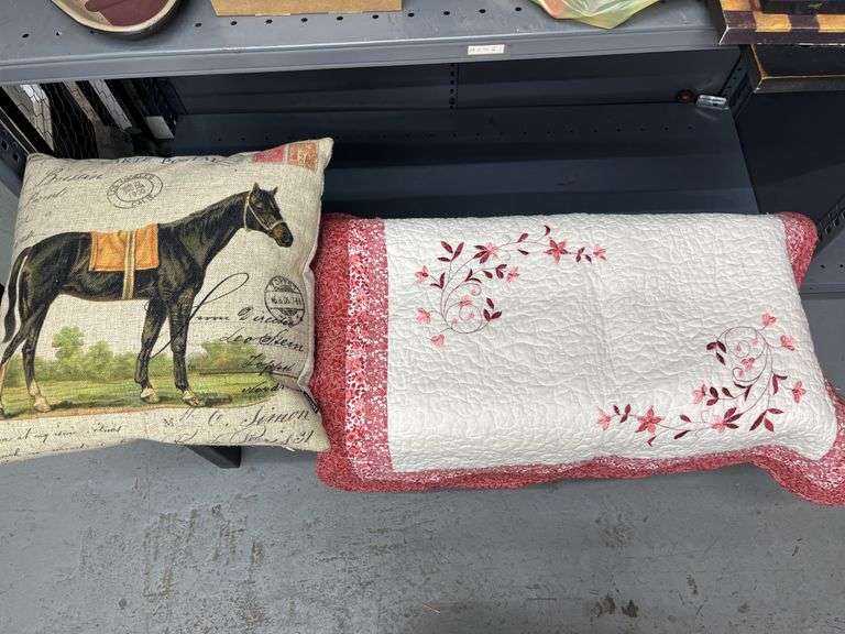 Pillow and 2 pillow cases