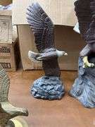 Eagles collection