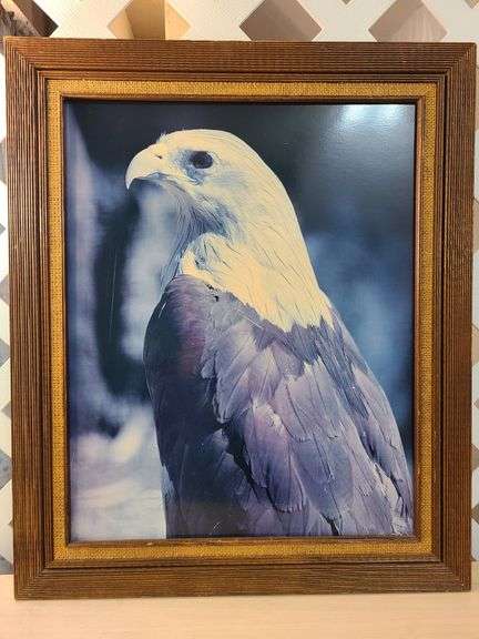 Framed Art