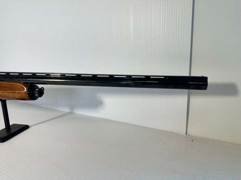 GUN: Brescia 12ga Magnum (PARTS)