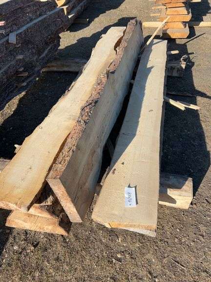 Live Edge planks mostly pine - average length 9ft