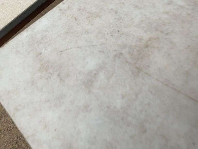 Professional boning knife, 5.5” blade