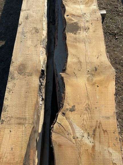 Live Edge planks mostly pine - average length 9ft