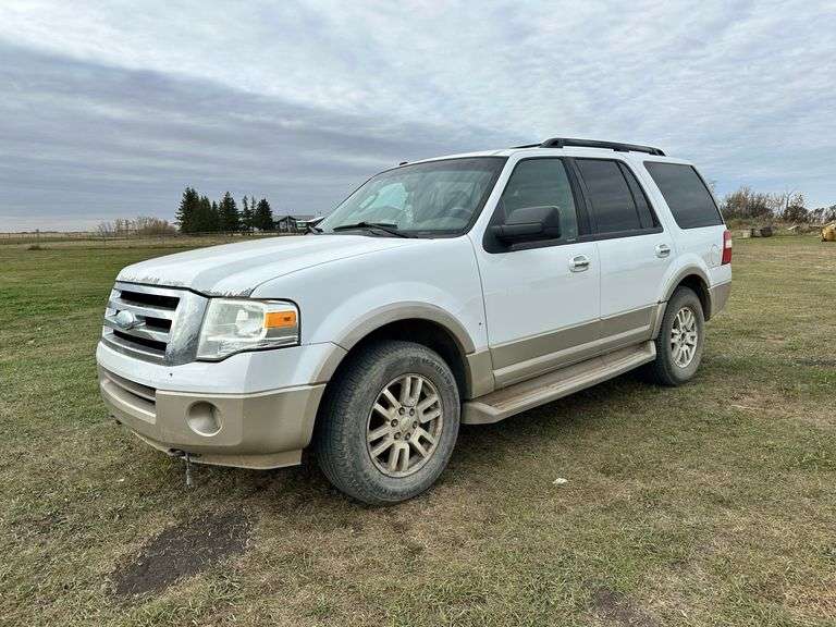 2010 Ford Expedition Eddie Bauer Edition
