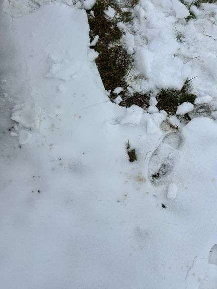 Qty of soffit WHITE - some have been damaged by wind