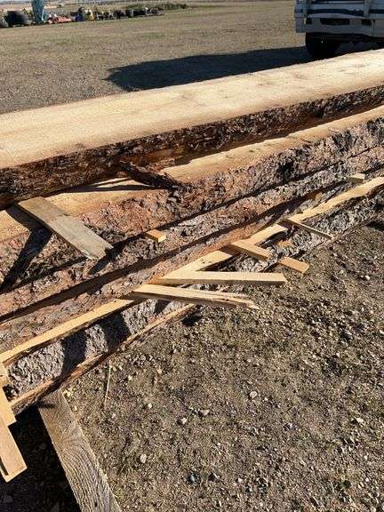 Live Edge planks mostly pine - average length 9ft