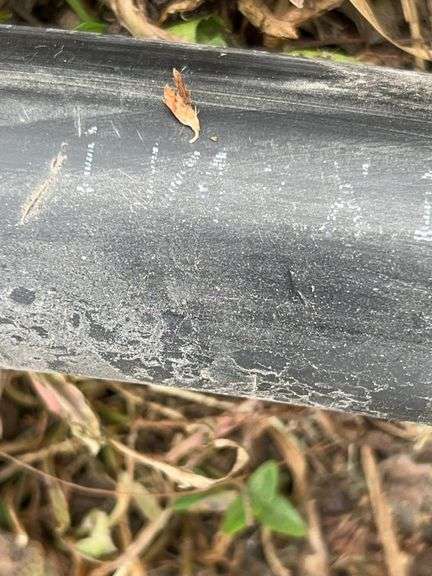 Qty of 1-1/4” & 1-1/2” black hose