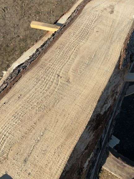 Live Edge planks mostly pine - average length 9ft