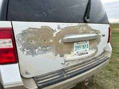 2010 Ford Expedition Eddie Bauer Edition