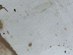 Qty of Hardie siding sheets (1 pallets)