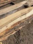 Live Edge planks mostly pine - average length 9ft