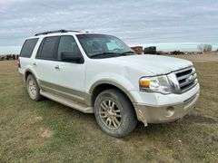 2010 Ford Expedition Eddie Bauer Edition