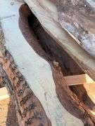 Live Edge planks mostly pine - average length 9ft