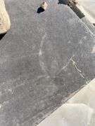 Qty of Hardie siding sheets (1 pallet)