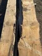 Live Edge planks mostly pine - average length 9ft