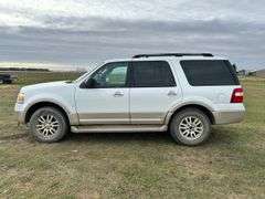 2010 Ford Expedition Eddie Bauer Edition