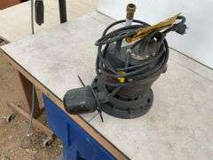 Working 1/3hp Red Lion sump pump