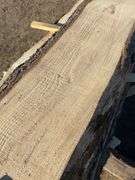 Live Edge planks mostly pine - average length 9ft