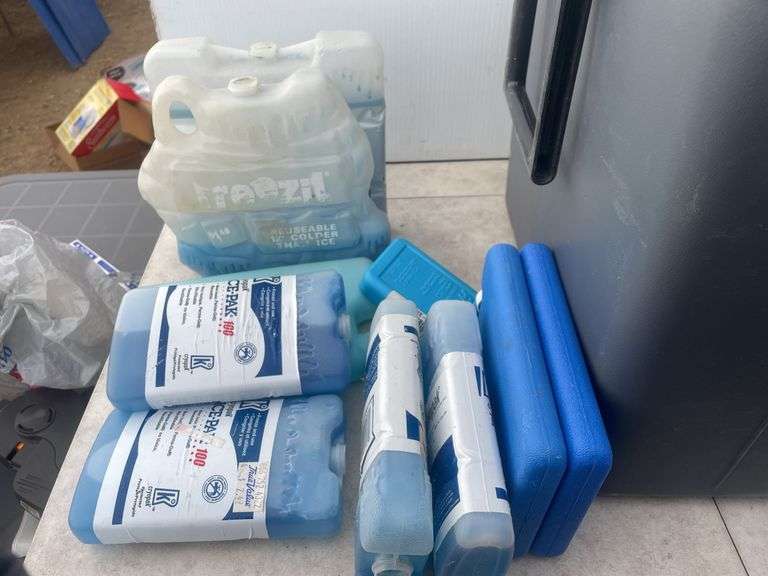 Koolatron electric cooler 12V or 110V, quantity of ice packs - condition unknown