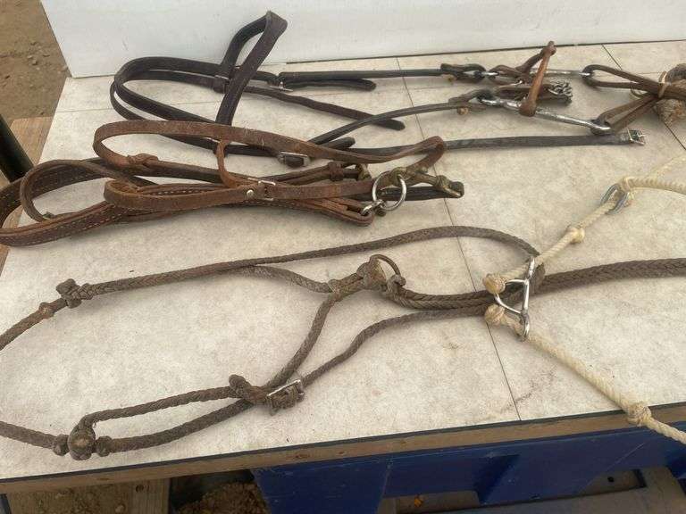 Leather bridle with split bit comes with nylon reins, leather halter, nylon halter