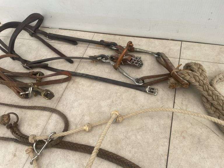 Leather bridle with split bit comes with nylon reins, leather halter, nylon halter