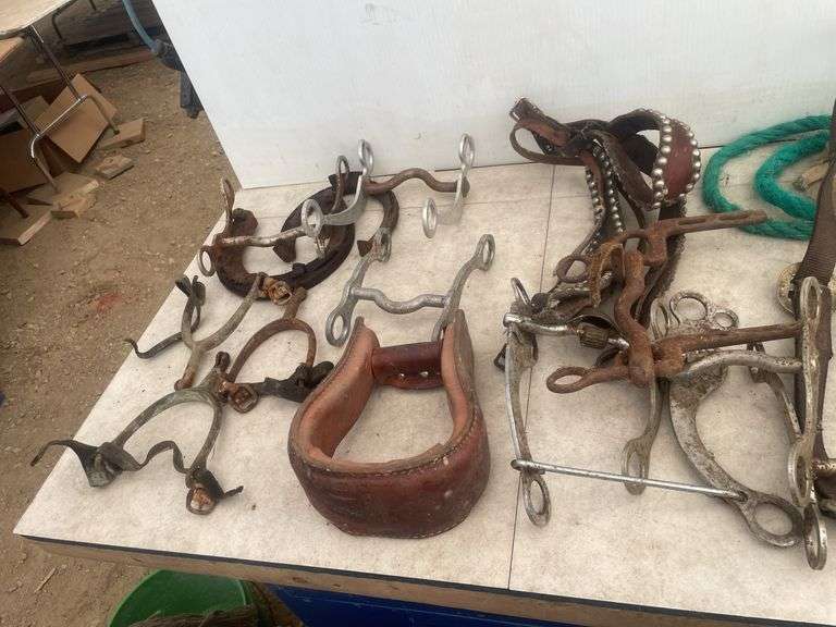 Quantity of tack, including halter, bridle bits, blanket etc.