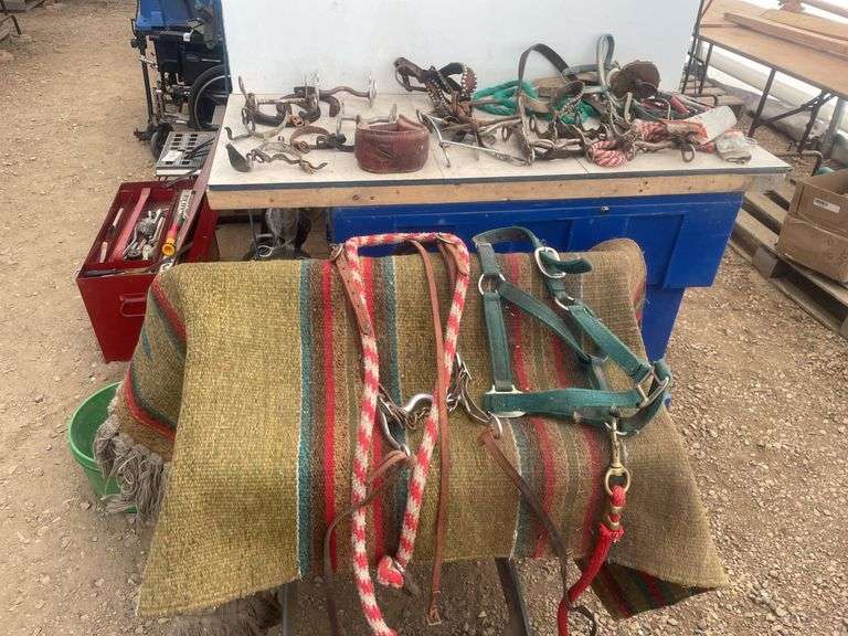 Quantity of tack, including halter, bridle bits, blanket etc.