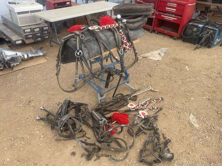 Set of pony team harness