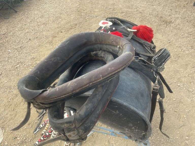 Set of pony team harness