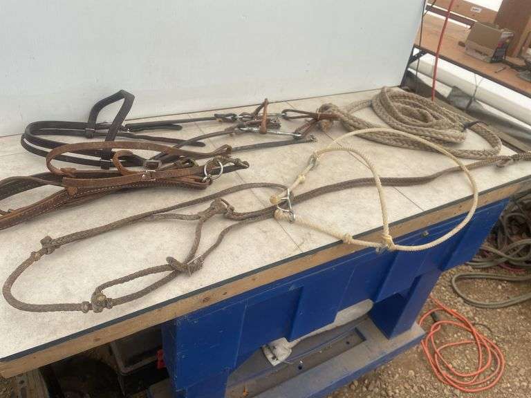 Leather bridle with split bit comes with nylon reins, leather halter, nylon halter