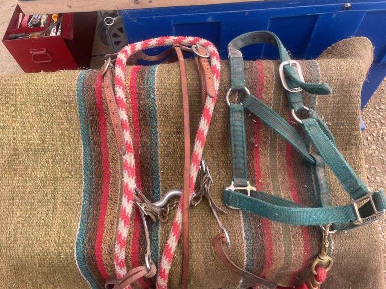 Quantity of tack, including halter, bridle bits, blanket etc.