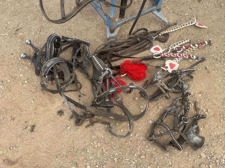 Set of pony team harness