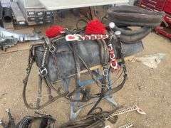 Set of pony team harness