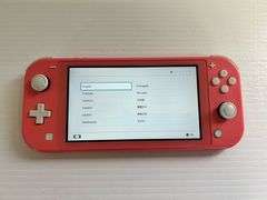 NINTENDO Switch Lite - works but no charge cord **IN OFFICE**