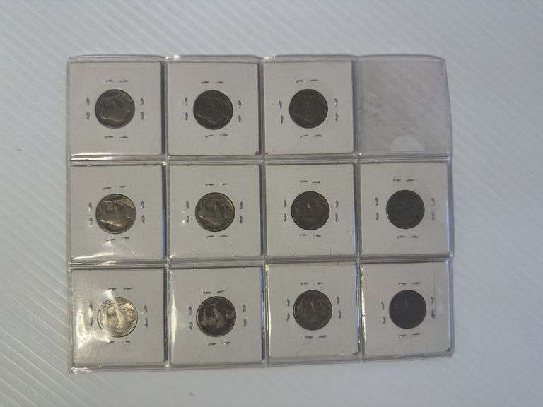 1919 - 1937 Buffalo of Indian Head Nickels