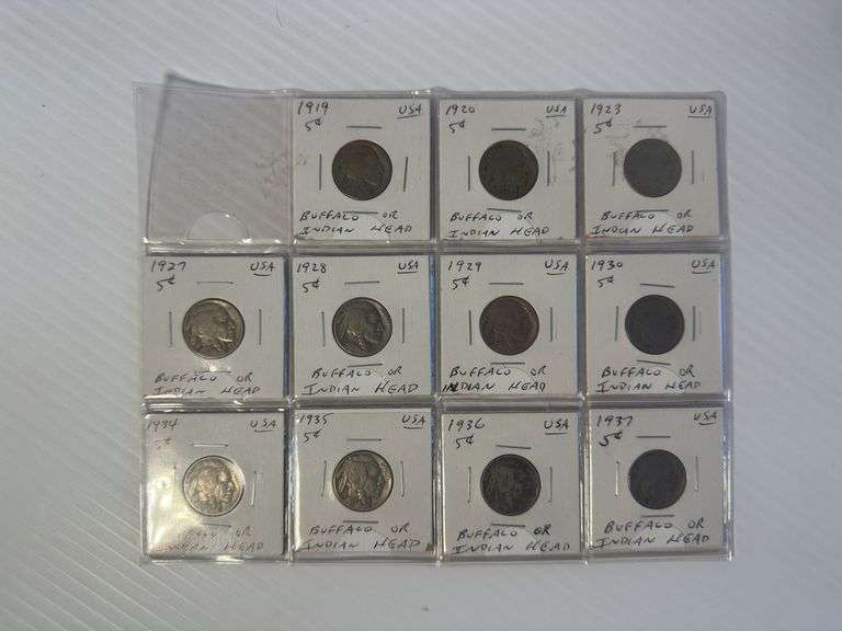 1919 - 1937 Buffalo of Indian Head Nickels