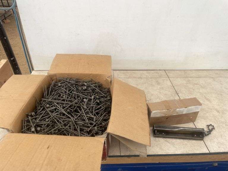 6" belt lacer and a box of 3 1/2" nails