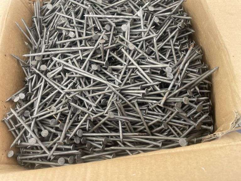 6" belt lacer and a box of 3 1/2" nails