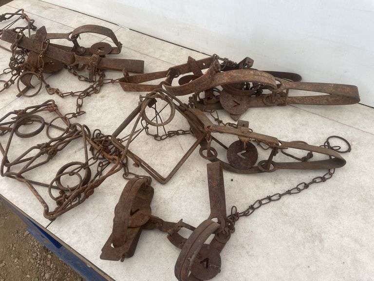 Quantity of traps including connibear and leg grabbers